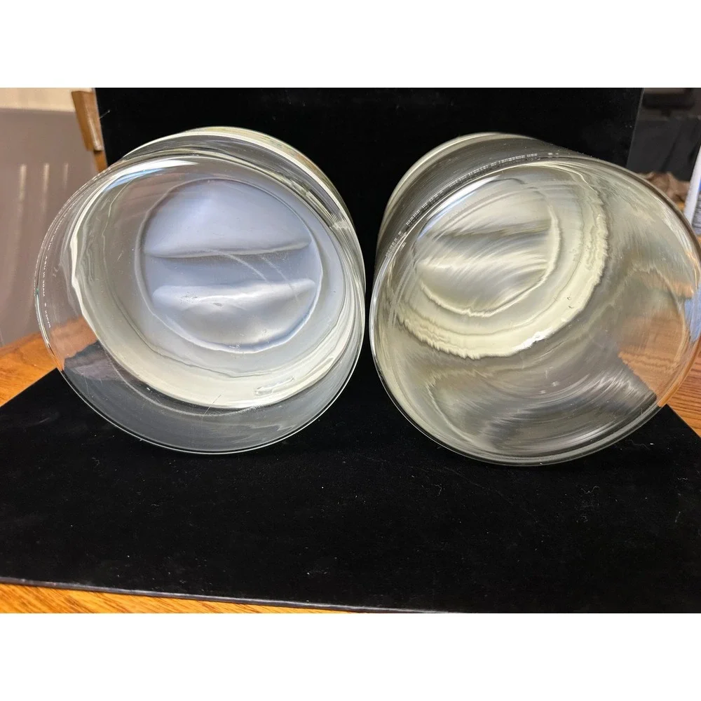 Vintage Pyrex Apricot Vines Clear Glass Casserole Bowls with Lids Set of 2